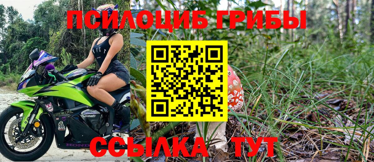 Псилоцибиновые грибы прущие грибы Богородицк